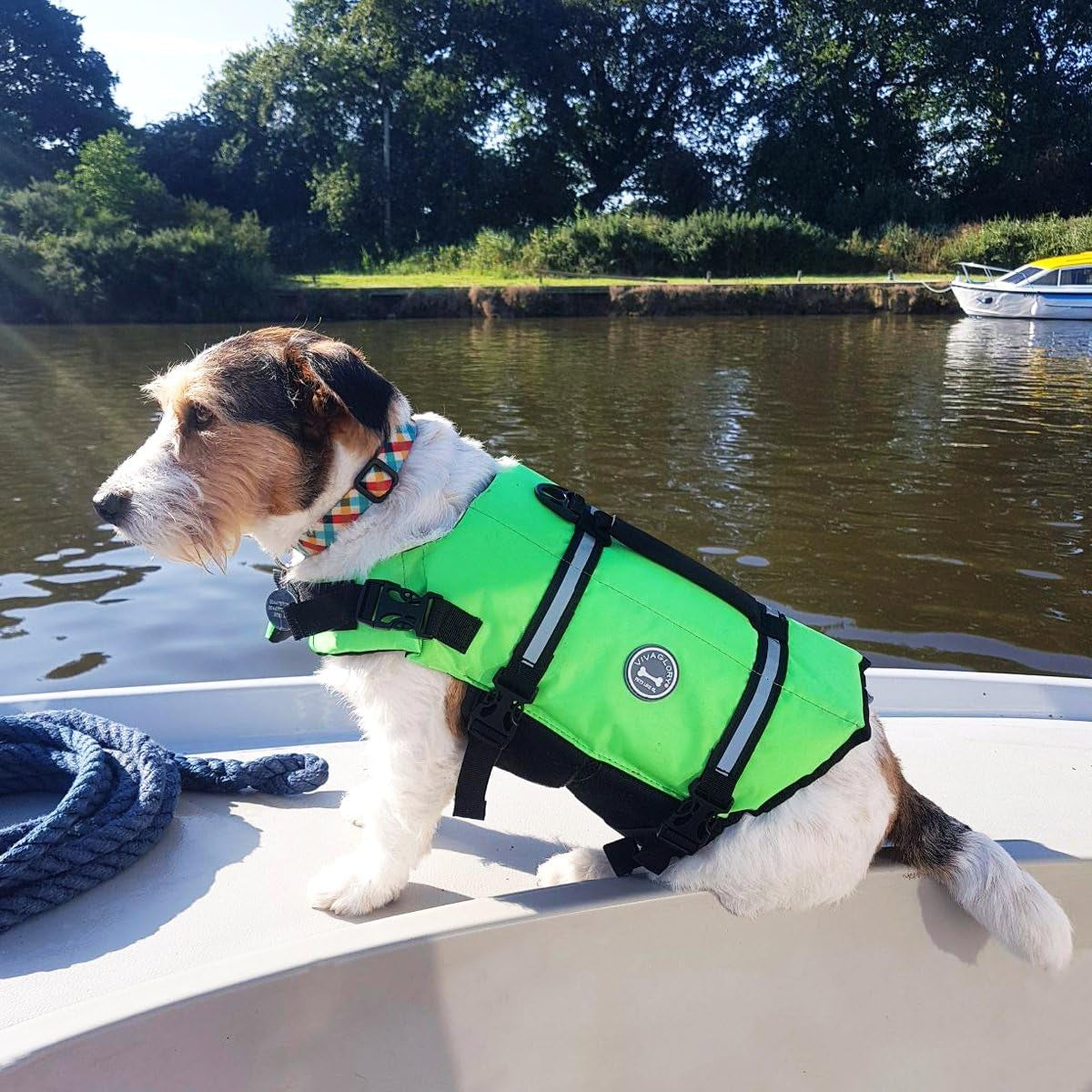 Ripstop Dog Life Jacket for Small Medium Large Dogs Boating, Swimming Vest for Dogs with Enhanced Visibility & Buoyancy, Bright Green