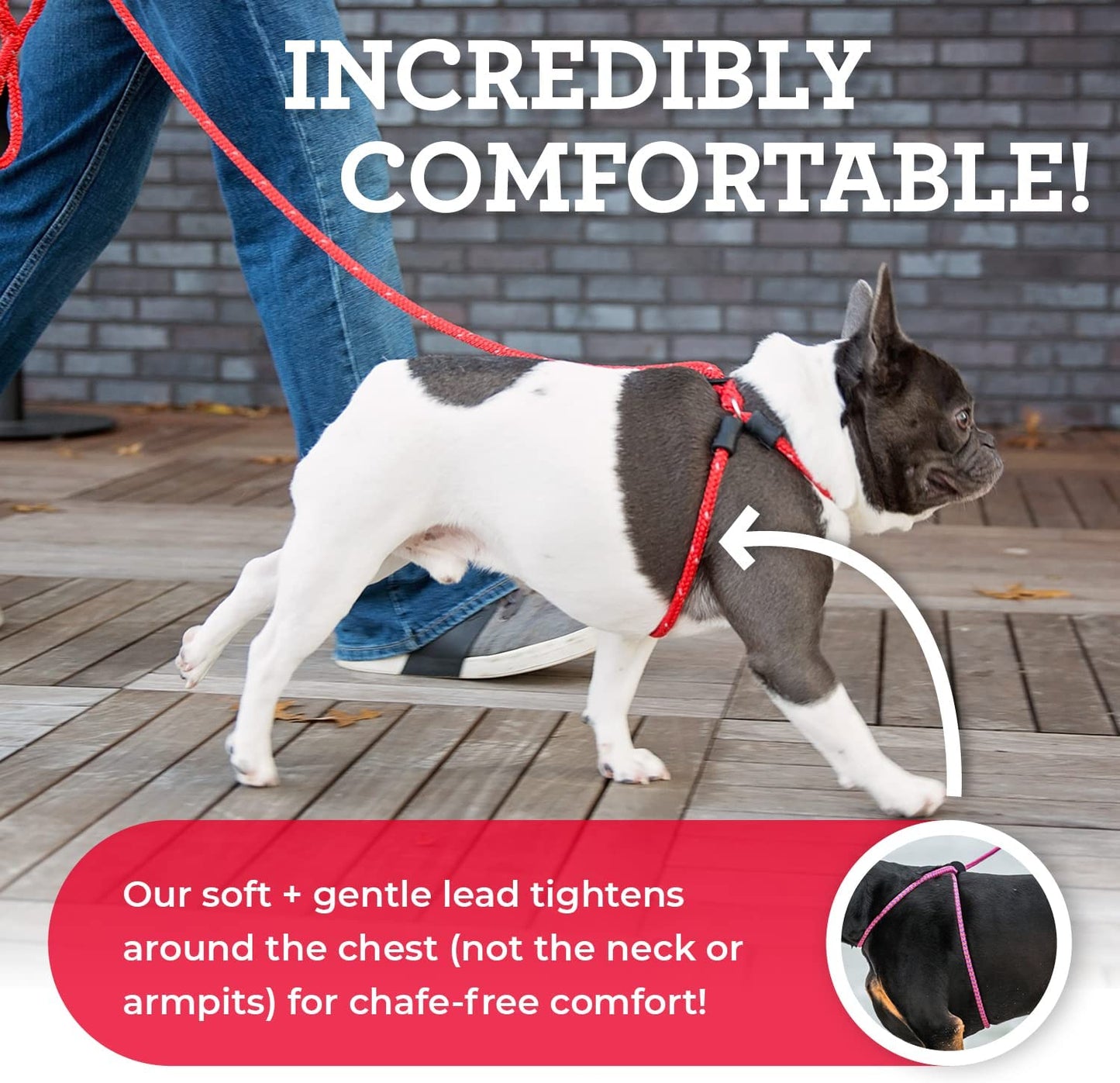 No Pull Dog Harness and Leash Set, anti Pull Dog Harness, One-Piece Cushioned Rope Safely Prevents Escaping and Pulling *New Insert Is Removable (Small/Medium, Red/Reflective)