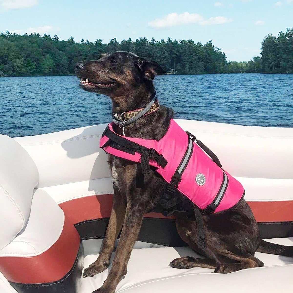 Ripstop Dog Life Jacket for Small Medium Large Dogs Boating, Swimming Vest for Dogs with Enhanced Visibility & Buoyancy, Pink